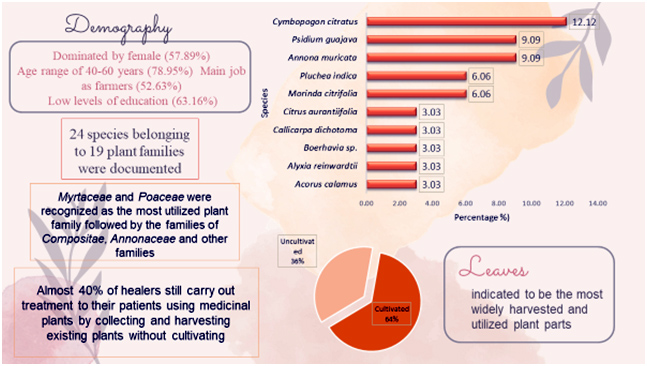 Graphical Abstract